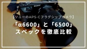 ソニーのAPS-Cフラグシップカメラ「a6600」と「a6500」とのスペックを徹底比較
