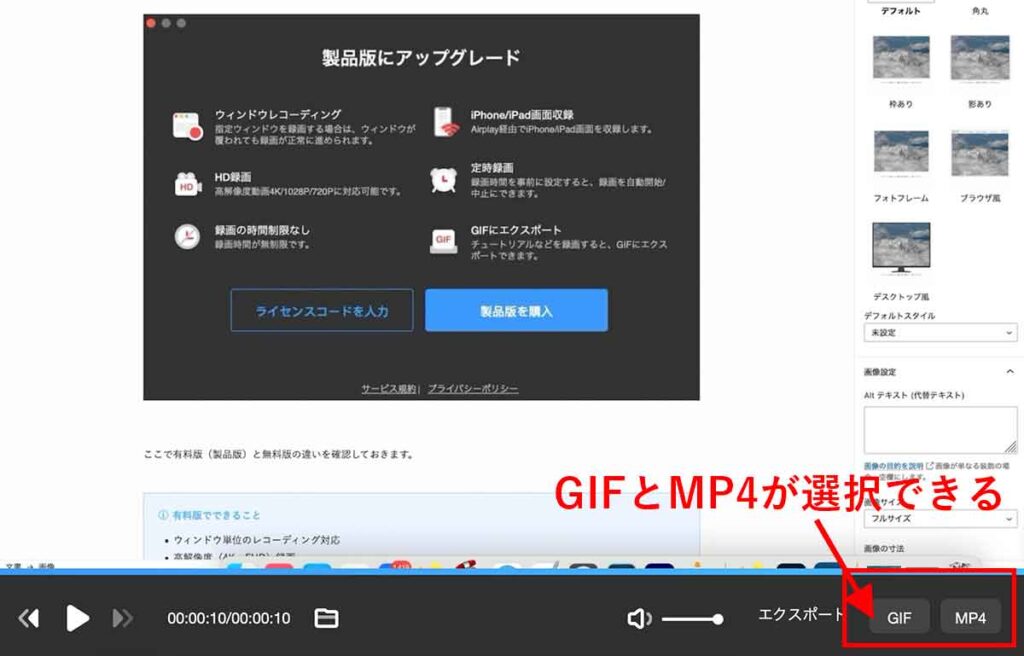 GIFとmp4